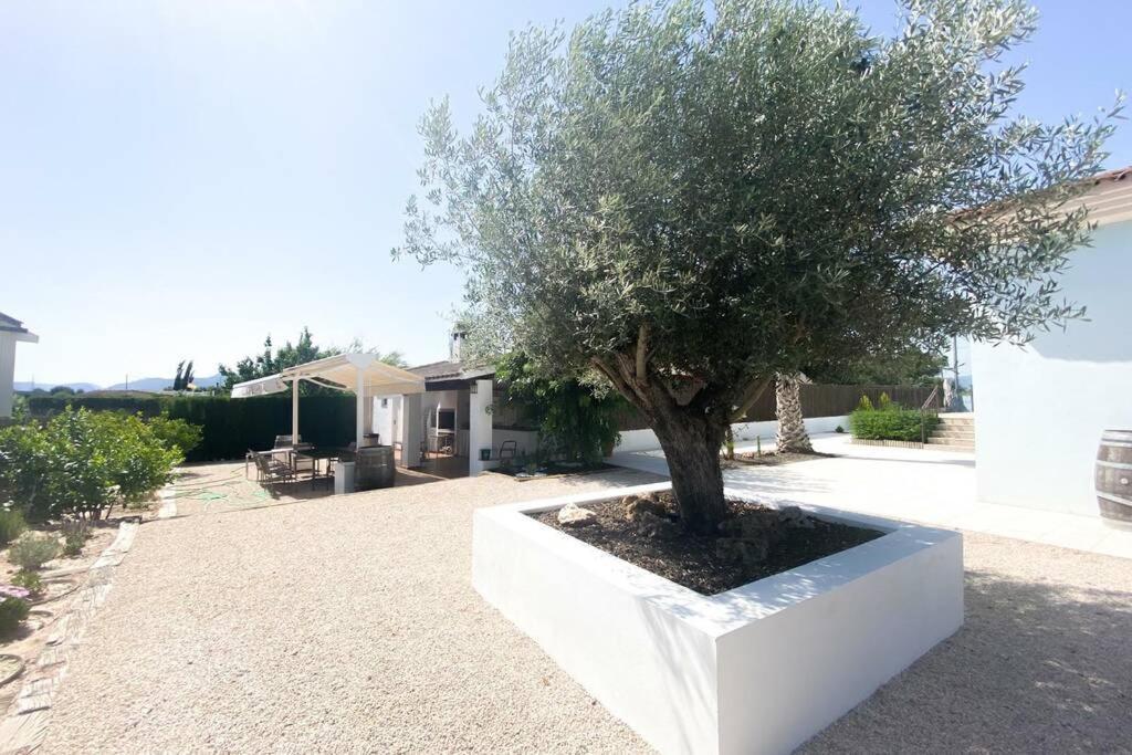Relax En La Huerta De Μούρθια Εξωτερικό φωτογραφία