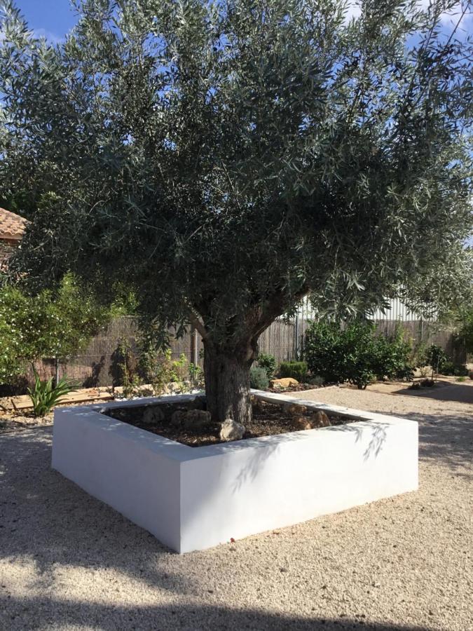 Relax En La Huerta De Μούρθια Εξωτερικό φωτογραφία